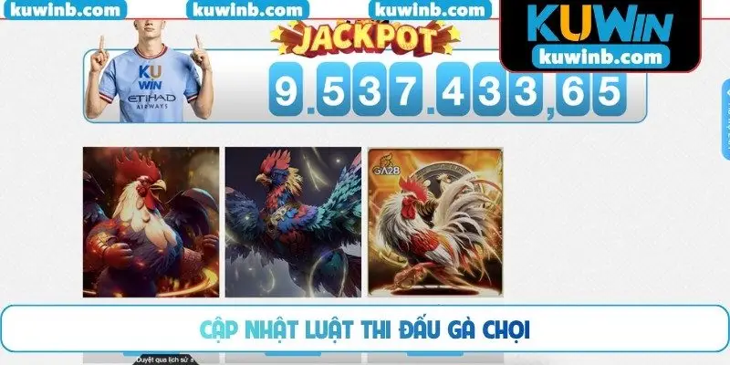 Cập nhật luật thi đấu gà chọi