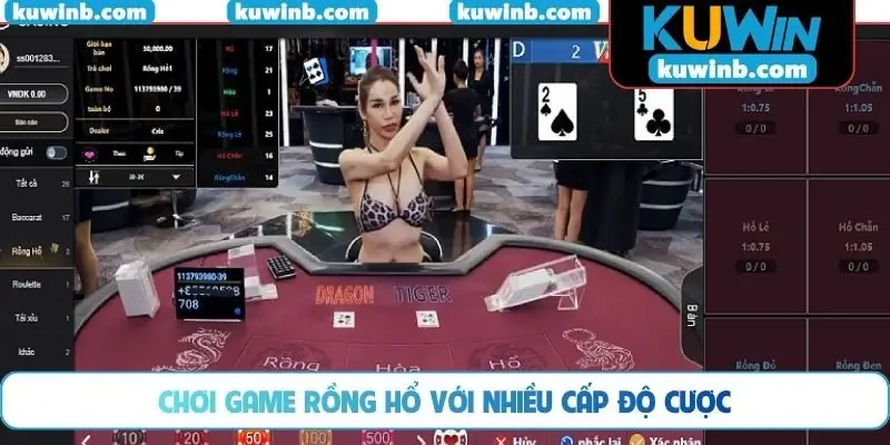 Chơi game rồng hổ với nhiều cấp độ cược
