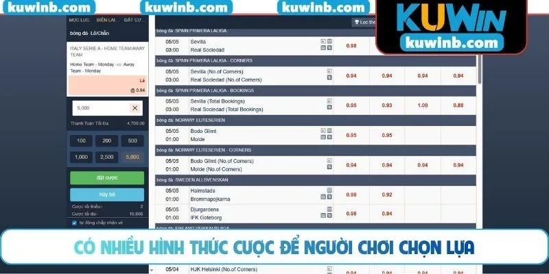 Có nhiều hình thức cược để người chơi chọn lựa