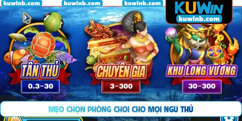 Mẹo chọn phòng chơi cho mọi ngư thủ