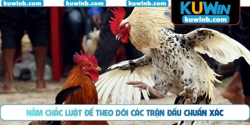 Nắm chắc luật để theo dõi các trận đấu chuẩn xác