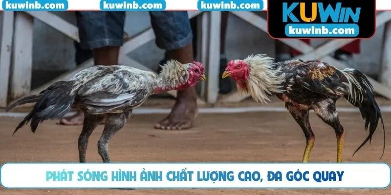 Phát sóng hình ảnh chất lượng cao, đa góc quay