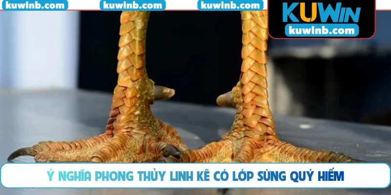 Ý nghĩa phong thủy linh kê có lớp sừng quý hiếm